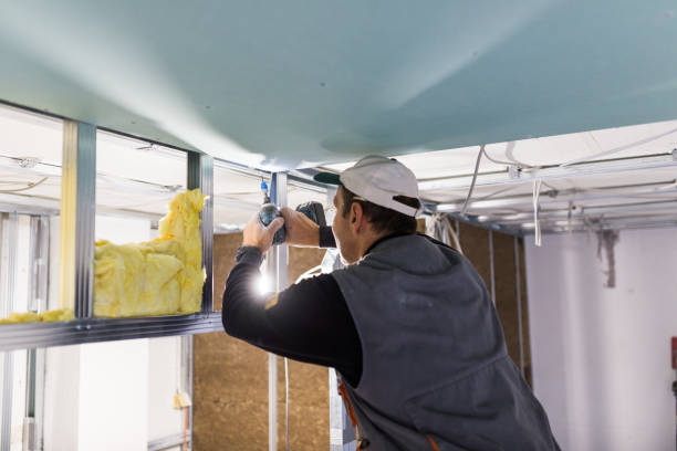 Best Attic Insulation Installation  in Sibley, IA
