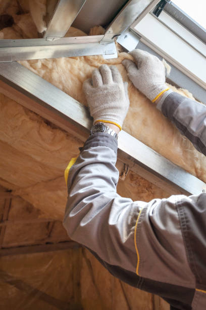Best Insulation for New Construction  in Sibley, IA