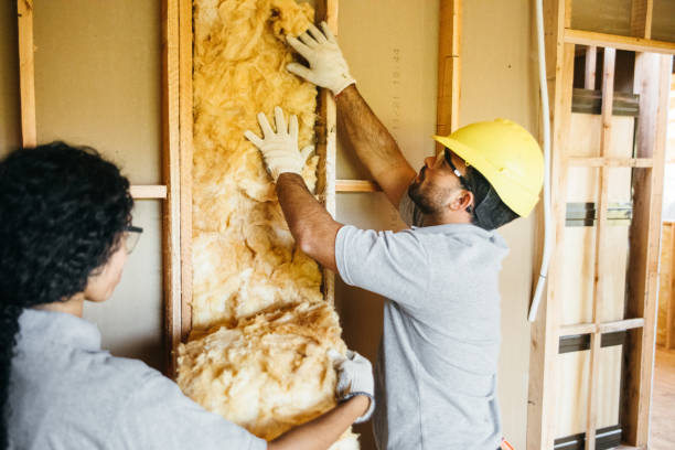 Best Insulation Replacement Services  in Sibley, IA