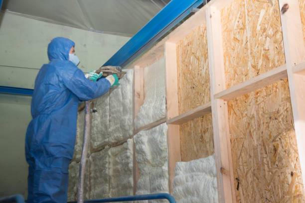 Best Insulation Removal  in Sibley, IA