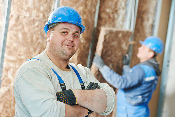 Best Professional Insulation Contractor  in Sibley, IA