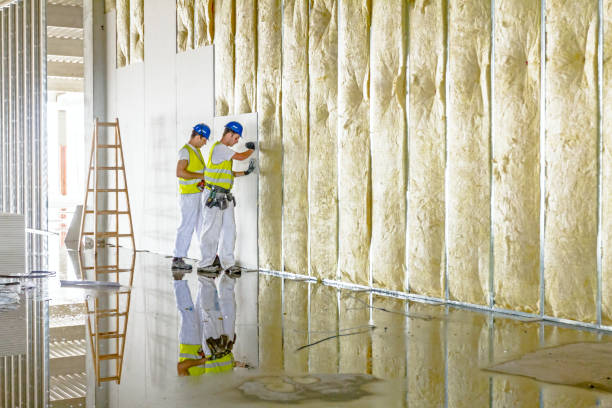 Insulation Inspection Services in Sibley, IA
